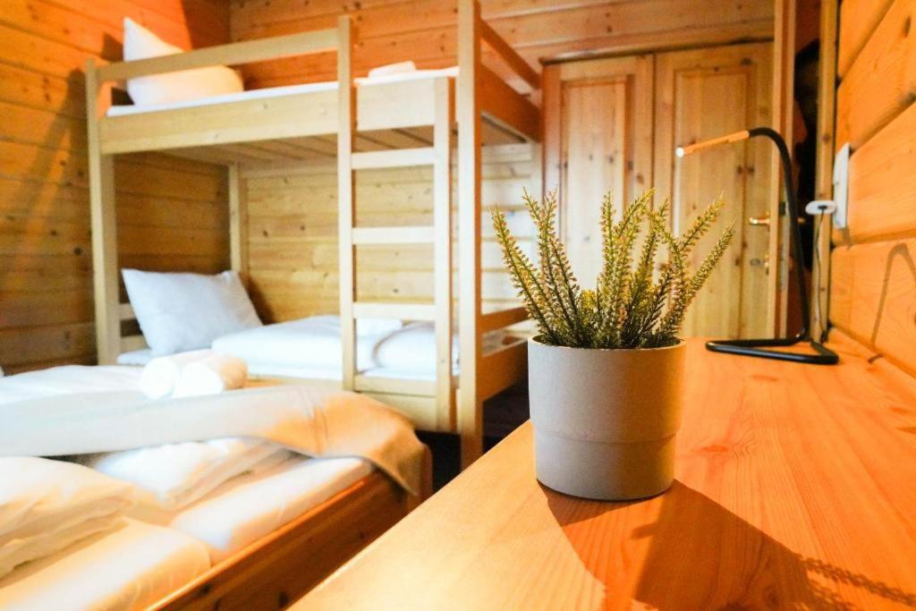 Edelweiss Lodge Lachtal I Self Check-In Esterno foto